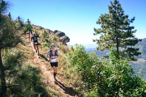 BIB: 
                            <button type="button" onclick="openModal(26602292)" class="btn btn-primary btn-sm float-right btn-popup" data-toggle="modal" data-target=".modal-high-quality">
                        <i class="fas fa-shopping-cart"></i> Add to Cart
                    </button>
                                            <button type="button" onclick="isThisMe(26602292, true)" class="btn btn-success btn-sm float-right btn-popup btn-isme hidden" data-toggle="tooltip" data-placement="bottom" title="นี่คือรูปของคุณใช่ไหม คลิกที่นี่เพื่อเอาเข้าอัลบั้ม">
                        <i class="fas fa-plus"></i> Add to album
                    </button>
                    <button type="button" onclick="isThisMe(26602292, false)" class="btn btn-warning btn-sm float-right btn-popup btn-isnotme hidden">
                        <i class="fas fa-ban"></i> Remove from album
                    </button>